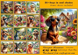 20+ dogs in shades