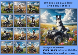 dogs on quad bikes