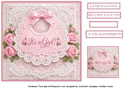 babygirl bib on lace