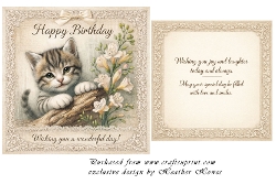 birthday cat