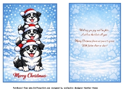 puppy collies 1