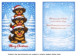 puppy dachshunds 3