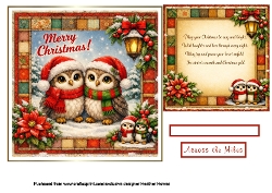 owl  wishes