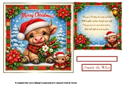 christmas coo 1