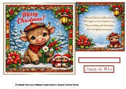 christmas coo 2