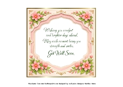 say it with flowers get well insert