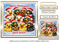 ducks christmas