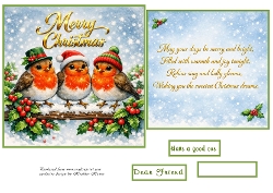 robins christmas
