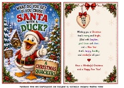humourous santa duck