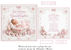 welcome to our new granddaughter