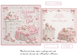 welcome baby girl