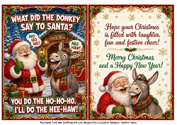 what did the donkey say to santa?