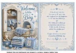 welcome little boy