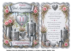 11th anniversary steel