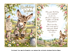 donkey birthday