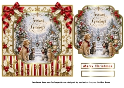 cats and dogs