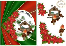 Luxurious Robin an Poinsettias