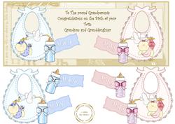 Congratulations Grandparents Twins Girl Boy