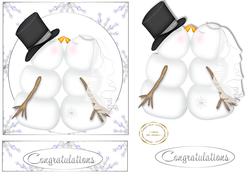 Winter Wedding