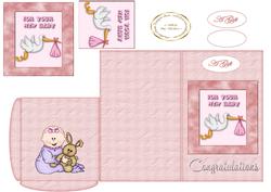 Gift Wallet Card Baby Girl