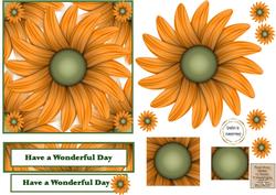 Gerbera Beauty