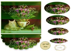 Scalloped and Oval Cats