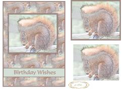 Red Squirrel