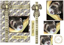 Ferreting Around
