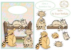 Cats Galore