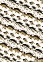 Fish Backing Sheet