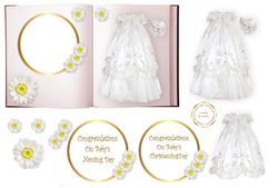 Baby Gown Book
