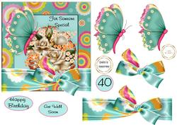 Butterflies Frame