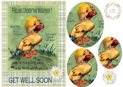 Under the Weather Duck