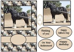 Shire Horse