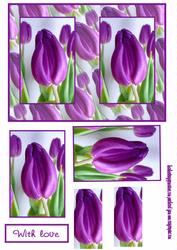 Simply Tulips