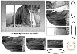 Tripipage Horse