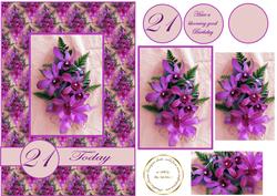 Orchid Beauty