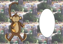 Monkey Nuts Insert