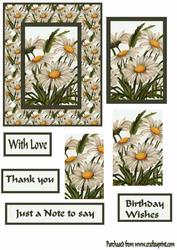 Daisy