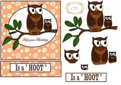 Birthday "hoot"