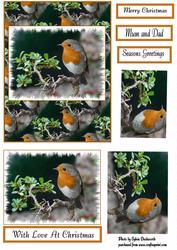 Robin Christmas Card Front