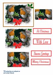 2 Robins Pyramid +sentiments