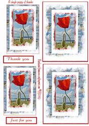 A Single Poppy of Thanks