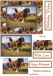 Shire Horses