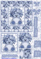 Beary New Arrival Boy