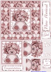 Beary New Arrival Girl