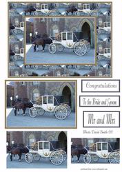 Horse and Carriage