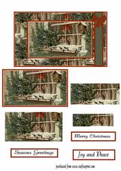 Christmas Window Birdwatchers