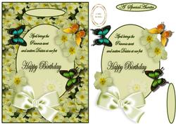 Primrose Birthday