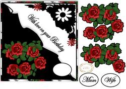 Roses on Black and White
